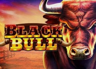Красивая анимированная графика слота Black Bull